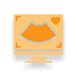 Echocardiogram